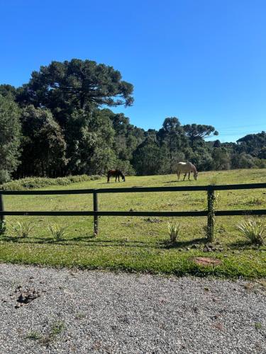 Chalé Solar das Hortênsias (Chale Solar das Hortensias) in กัมโป ลาร์โก