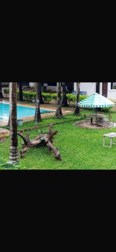 Comfortable Self Contained Deluxe Studio Apartment - D3 in Mtwapa