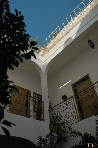 Riad Yu Yu 3