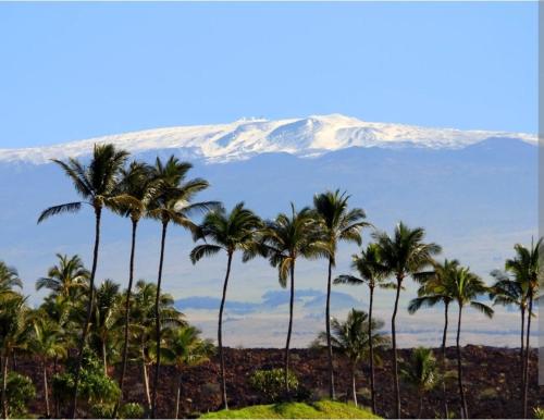 Hale Maluhia-Private 2 Bedroom home in Hawaiian Paradise Park (HI)