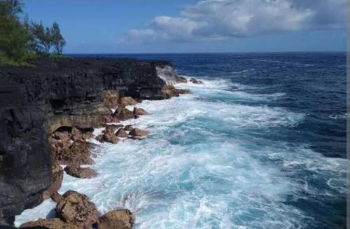 Hale Maluhia-Private 2 Bedroom home in Hawaiian Paradise Park (HI)