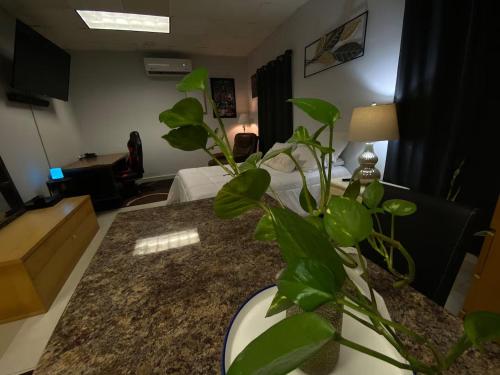 The Comfort Zone in Nuevo Laredo