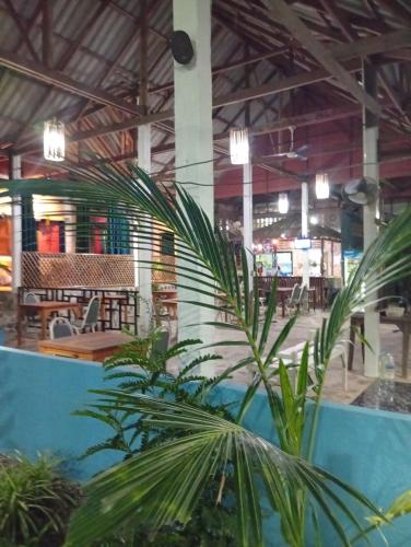 Hill Station Hostel at Chor Chaba in Hat Khlong Chao