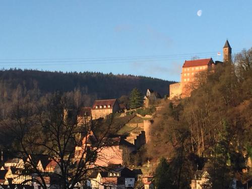 Romantisches Hirschhorn am Neckar