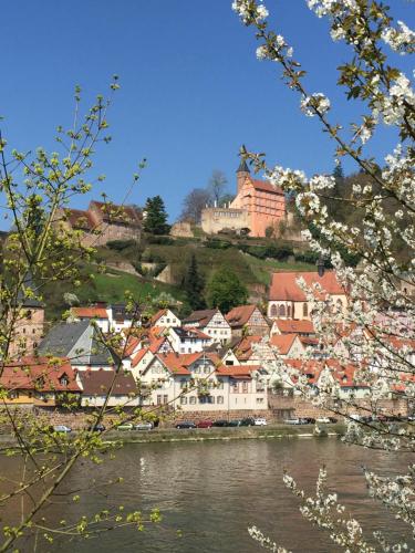 Romantisches Hirschhorn am Neckar