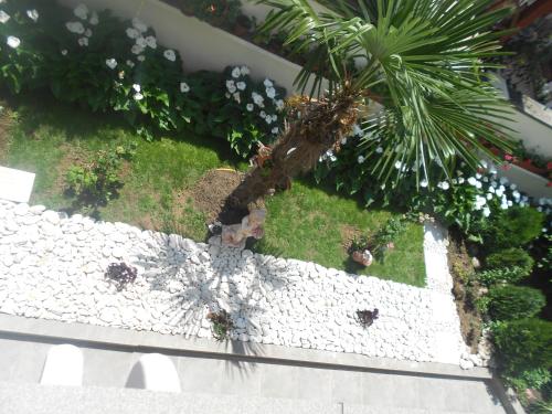 Laguna - image 5