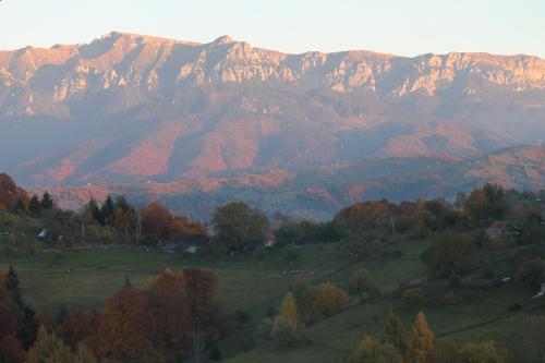 Pensiunea Pestera Braşov