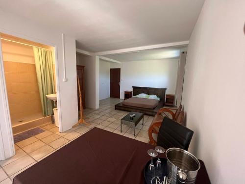 Beach Studio 24h24 & 7j7 - Location saisonnière - Petite-Île