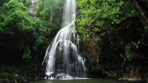 Posada del Chaman Iguazu Posada del Chaman Iguazu图片