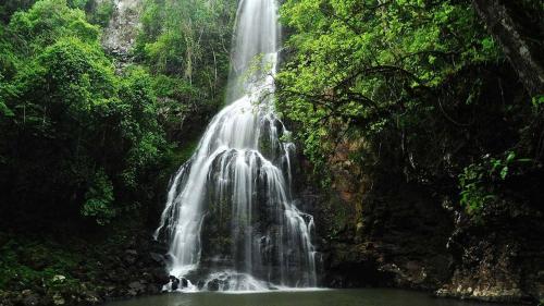 Posada del Chaman Iguazu