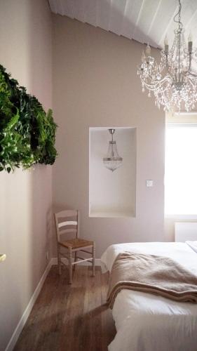 Le Chai des Poilanes - Chambre d'hôtes - Orée-d'Anjou