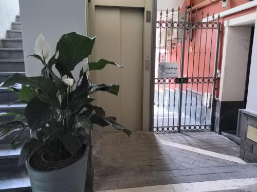 Cortile dei Sogni 5