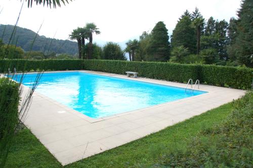 Eucalipto 2 - Apartment - Germignaga