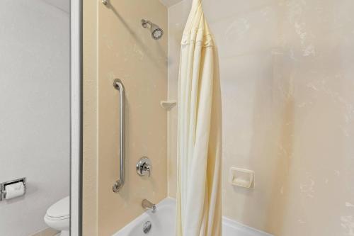 Comfort Inn & Suites in Berea, USA