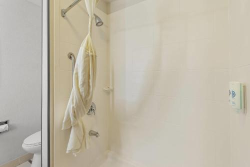 Fairfield Inn & Suites Lexington Berea - image 5
