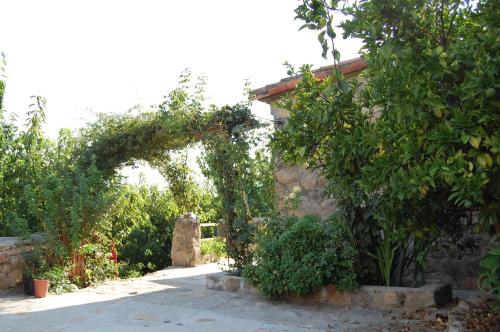 Casas Rurales Carrizosa - image 5