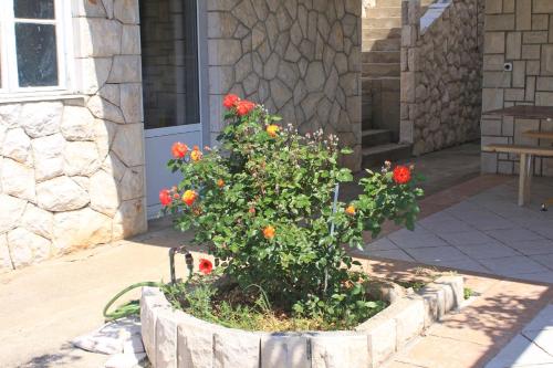 Studio Sveta Nedilja 8792a in Jelza