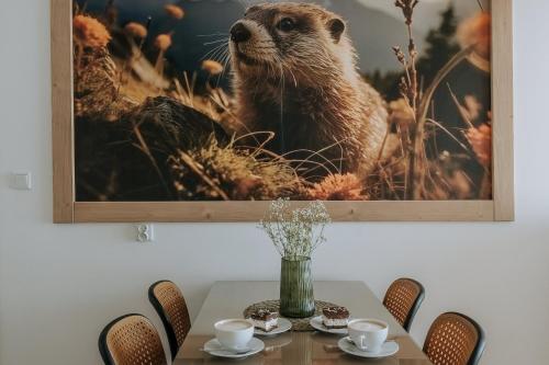 Willa Janowa B&B obrázok