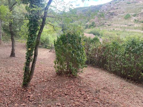 Appartement fonctionnel in Malleval