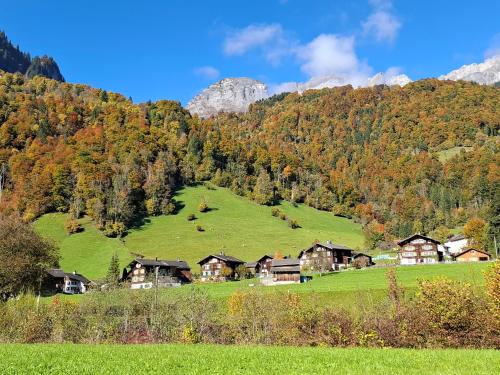 Mattishüüsli - Chalet with a little garden (Mattishuusli - Chalet with a little garden) in Rüti (Glarus)