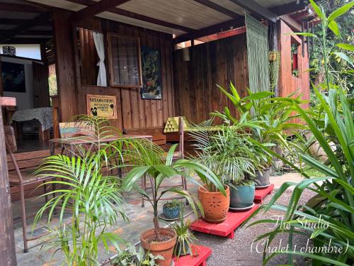 บริการและสิ่งอำนวยความสะดวก, My Mountain Home - Le Studio in มิติราปา