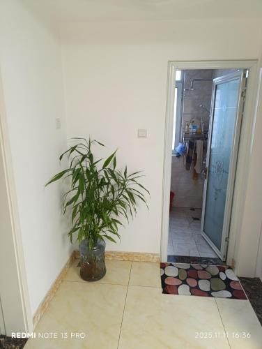 港岛之恋 in Sha Tin