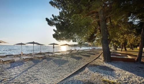 Apartma Roberto - Ankaran in Debeli Rtic