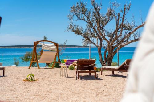 Seaside house for families with children Mandre, Pag - 22604 in Kolan