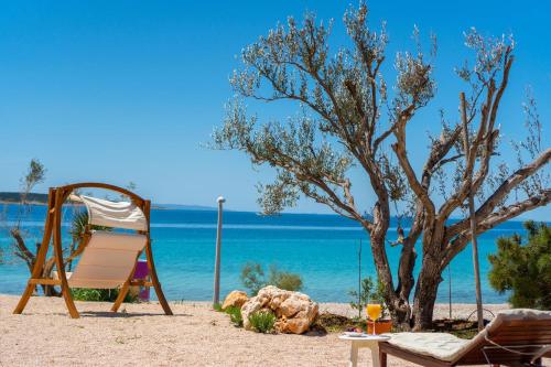 Seaside house for families with children Mandre, Pag - 22604 in Kolan