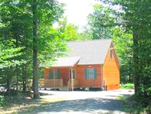 Secluded Cabin Nestled in the Mountains near the Tioga State Forest, Pennsylvania