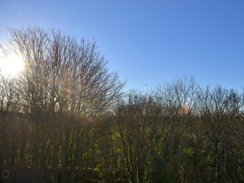 Skats, Marley's Retreat in Seaton Delaval