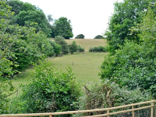 Skats, Mill Cottage in Peterchurch