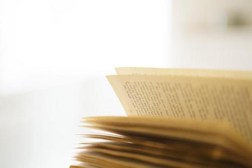 The Old Antiques Warehouse in Other