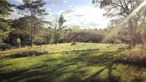 Rustic Container Accommodation for Glamping in Kentucky in Sparta (KY)