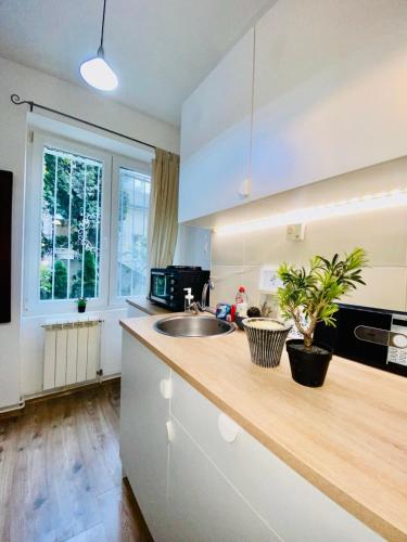 貝爾格勒 Center Belgrade 4星级 单人房 大堂