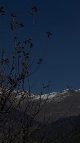 Himaja Retreat in Majach