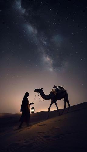 Heart of the Desert 1