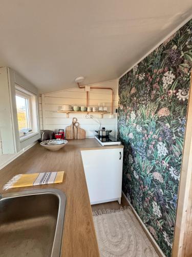Tiny Cabin Under the Northern Lights in Leira