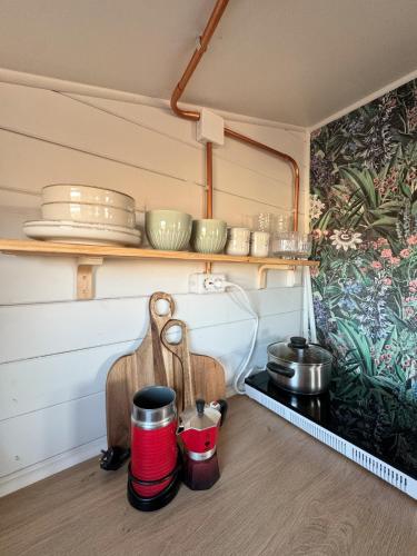 Tiny Cabin Under the Northern Lights in Leira