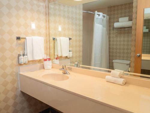 Holiday Inn Express Silao-Aeropuerto Bajio by IHG in Silao, Mexico