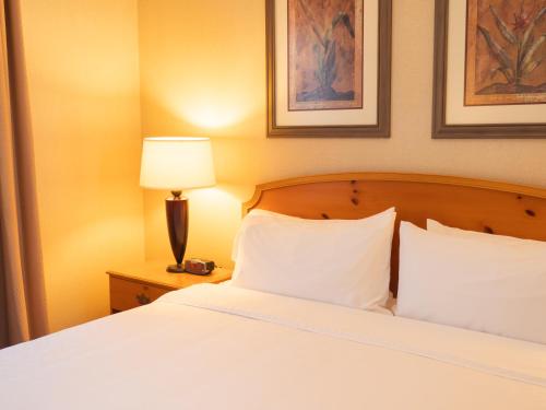 Holiday Inn Express Silao-Aeropuerto Bajio by IHG in Silao, Mexico