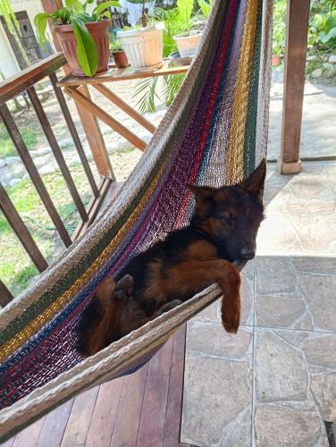 Montañita Lodge (Montanita Lodge) in 拉梅爾塞