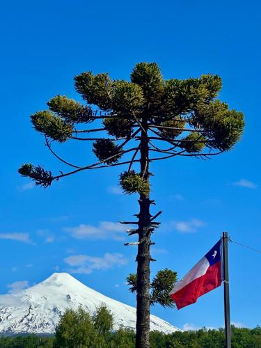 Departamento en Pucón Pinares Residence