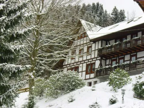 Flat in Schmallenberg with garden in Schmallenberg, Deutschland