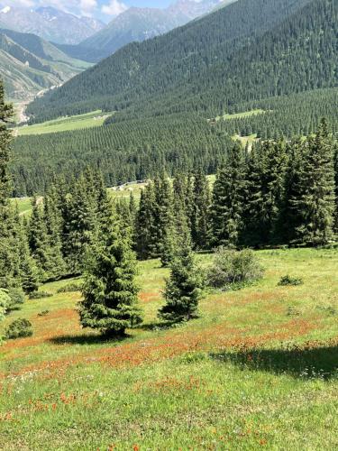 Adventure Guest House in Kirpichny
