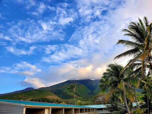 Oceanfront true 2 bedroom wlanai on Molokai in Ualapue (HI)