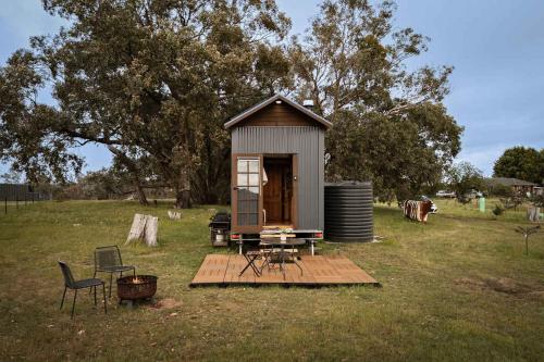 Hillsview Cottage by Tiny Away in Taradale