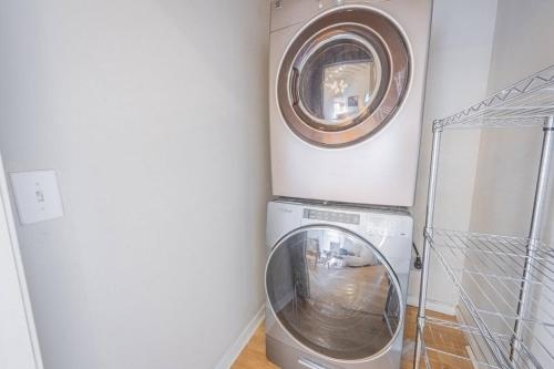Darlin Downtown Dawghouse - image 13