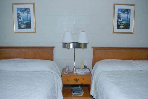 Admiral Motor Inn - image 6