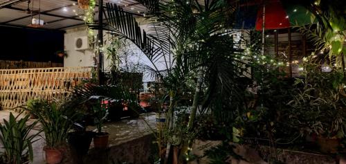 The Bohemian DeLuxe Homestay in Bongaigaon